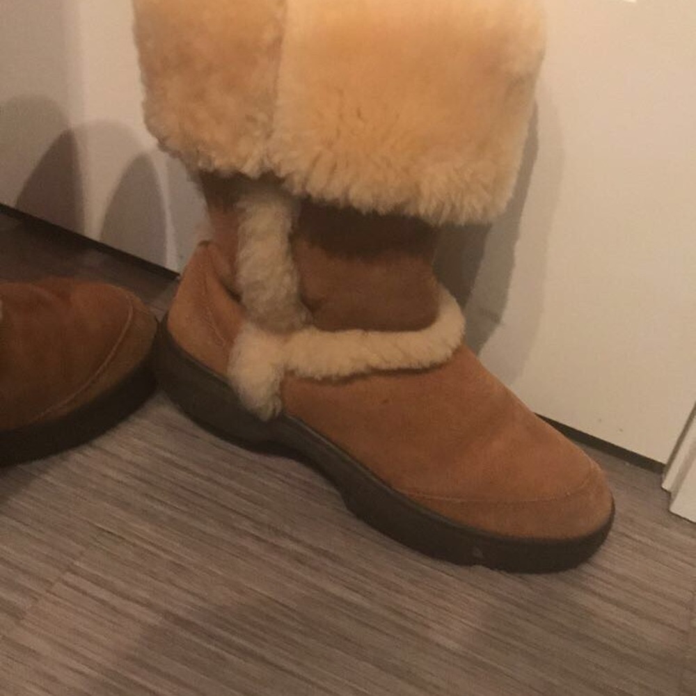 Tall Chestnut Uggs